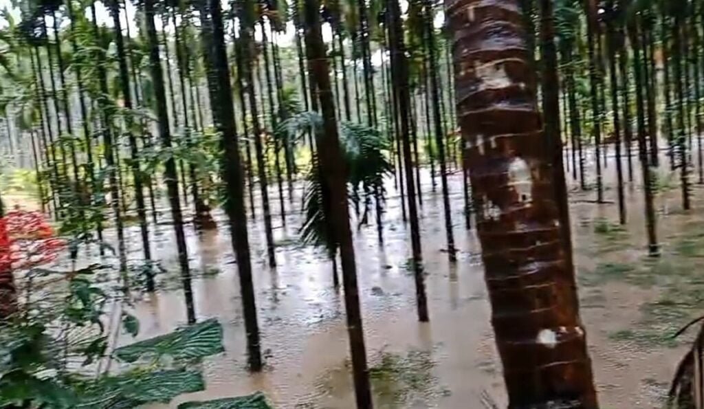 kaniyoru-1-1-1024x595 ಕಣಿಯೂರು ಬಳಿ ತೋಡಿಗೆ ಗುಡ್ಡ ಕುಸಿತ : ತೋಟ ಜಲಾವೃತ