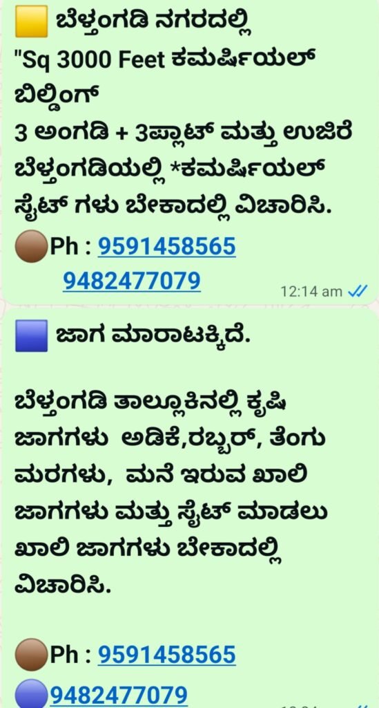 Screenshot_20251020_063956_WhatsApp-13-549x1024 ಉಪ್ಪಿನಂಗಡಿ - ಕಲ್ಲೇರಿ ಮಧ್ಯೆ ಬಾಳೆ ನೆಟ್ಟು ಹೀಗೊಂದು ಪ್ರತಿಭಟನೆ