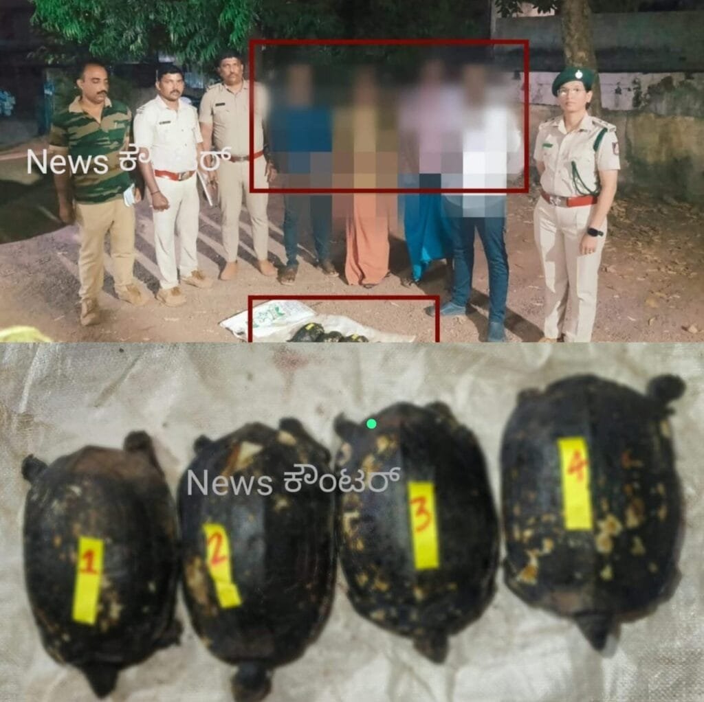 IMG-20260215-WA0006-1024x1022 ಅಜ್ಜಿ ತಿಥಿ ; ಆಮೆ ಗಸಿ