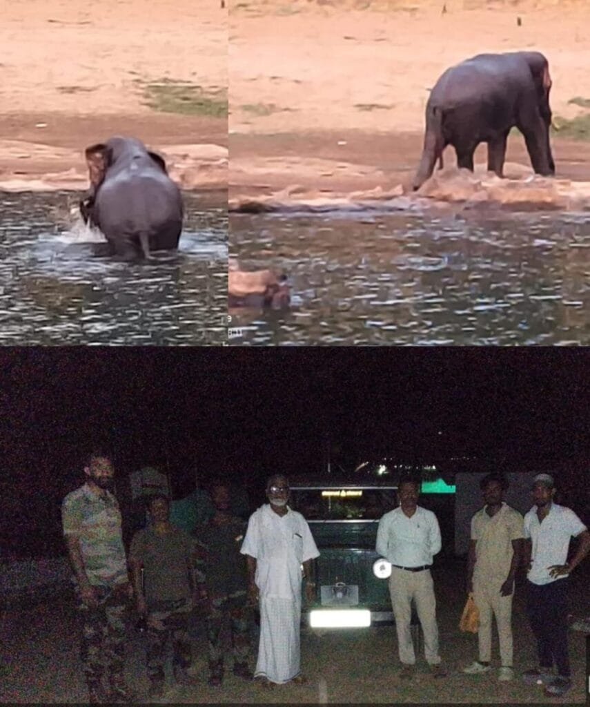IMG-20260423-WA0003-855x1024 ಬಂದಾರು ನದಿಯಲ್ಲಿ ನೀರಾಟವಾಡಿದ ಒಂಟಿ ಸಲಗನ ಪಯಣ ಗೋಳಿತೊಟ್ಟು ಅರಣ್ಯದತ್ತ...
